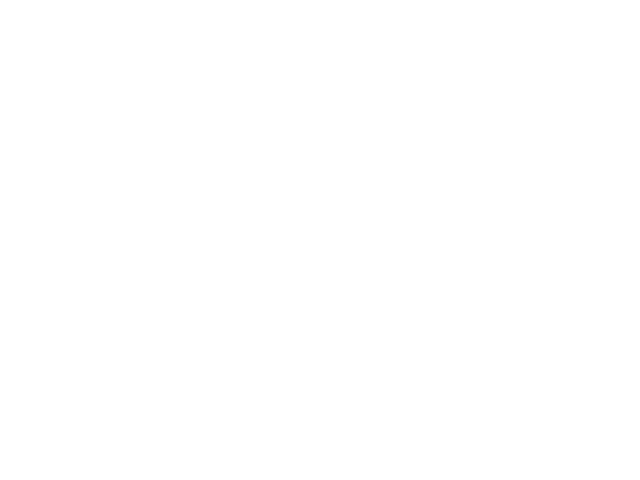 logo vebdev